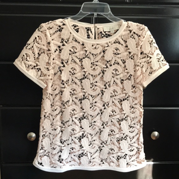 LOFT Tops Ann Taylor Loft Womens Top Poshmark